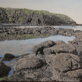 Flinders Rockpool